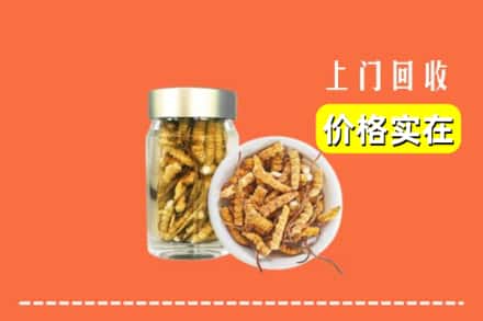 济南市平阴回收散虫草