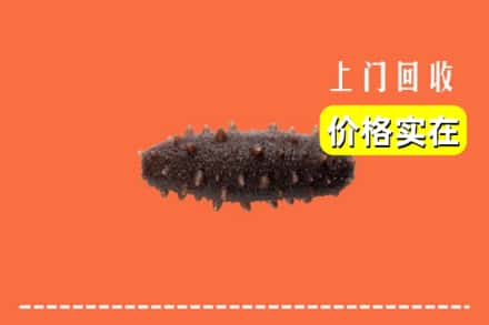 济南市平阴回收海参