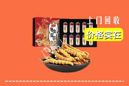 济南市平阴回收虫草