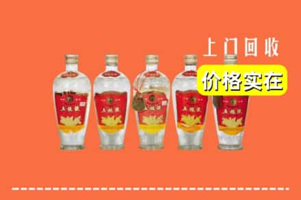 济南市平阴回收老五粮液